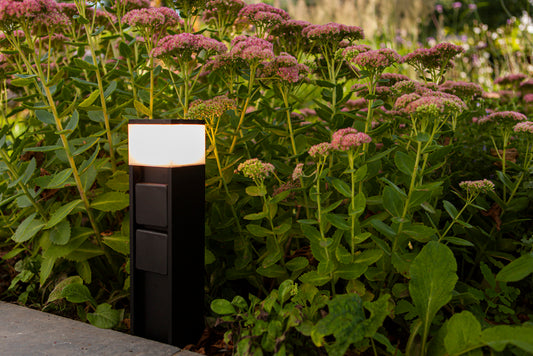 MAINS-bollards-DWPRO