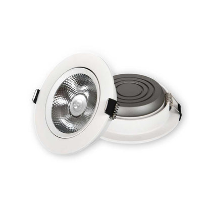 LED Down Light DS10