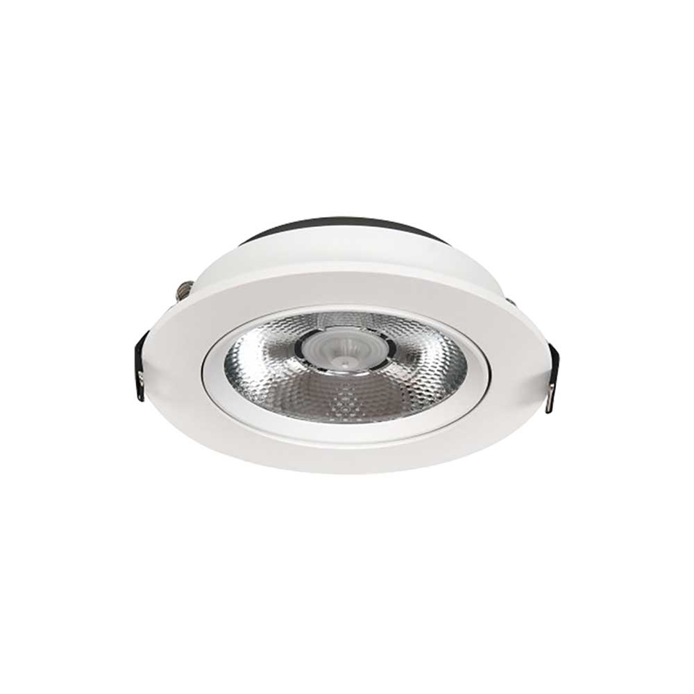 LED Down Light DS10
