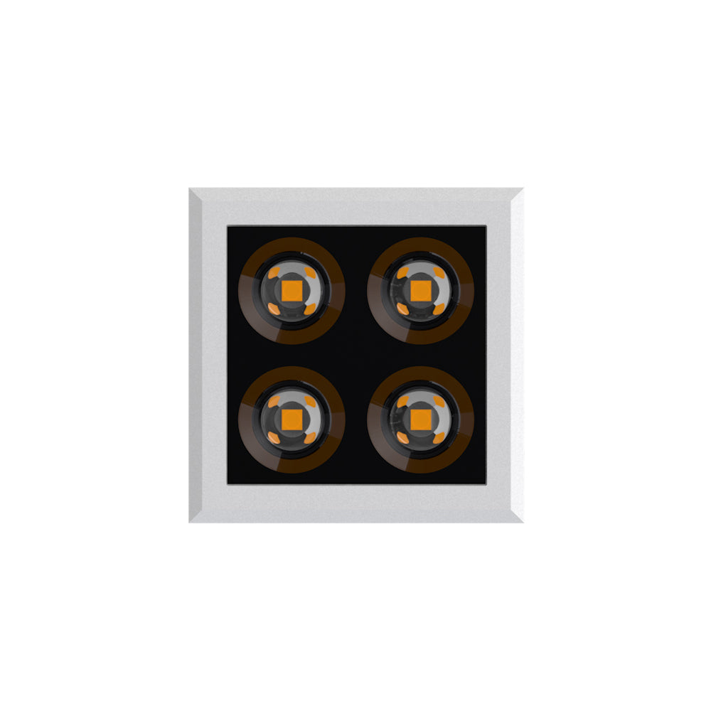 LED Downlight DS02