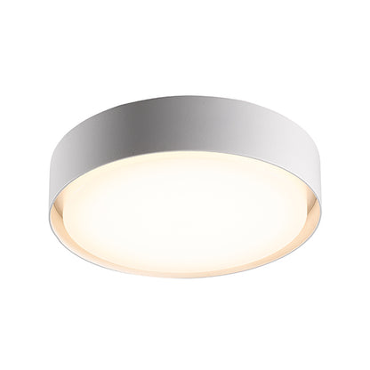 H1331 Ceiling Light