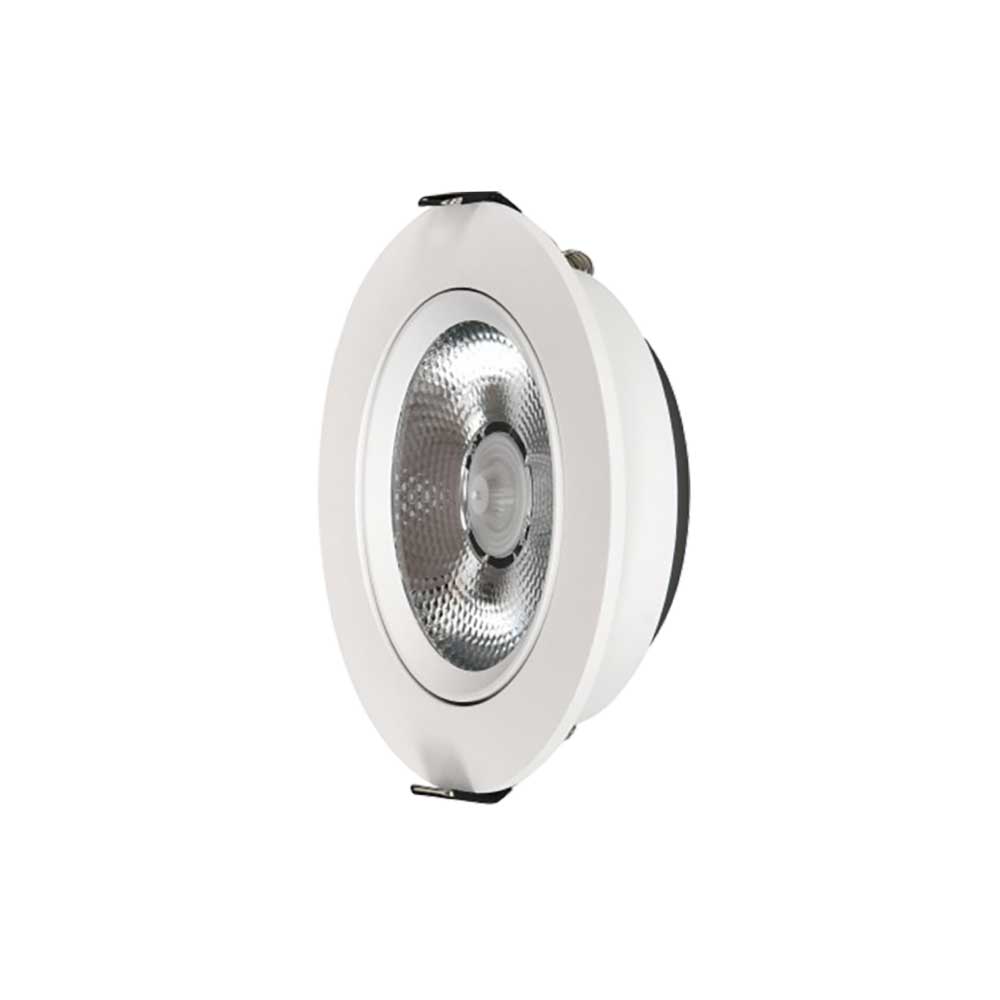 LED Down Light DS10