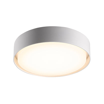 H1331 Ceiling Light