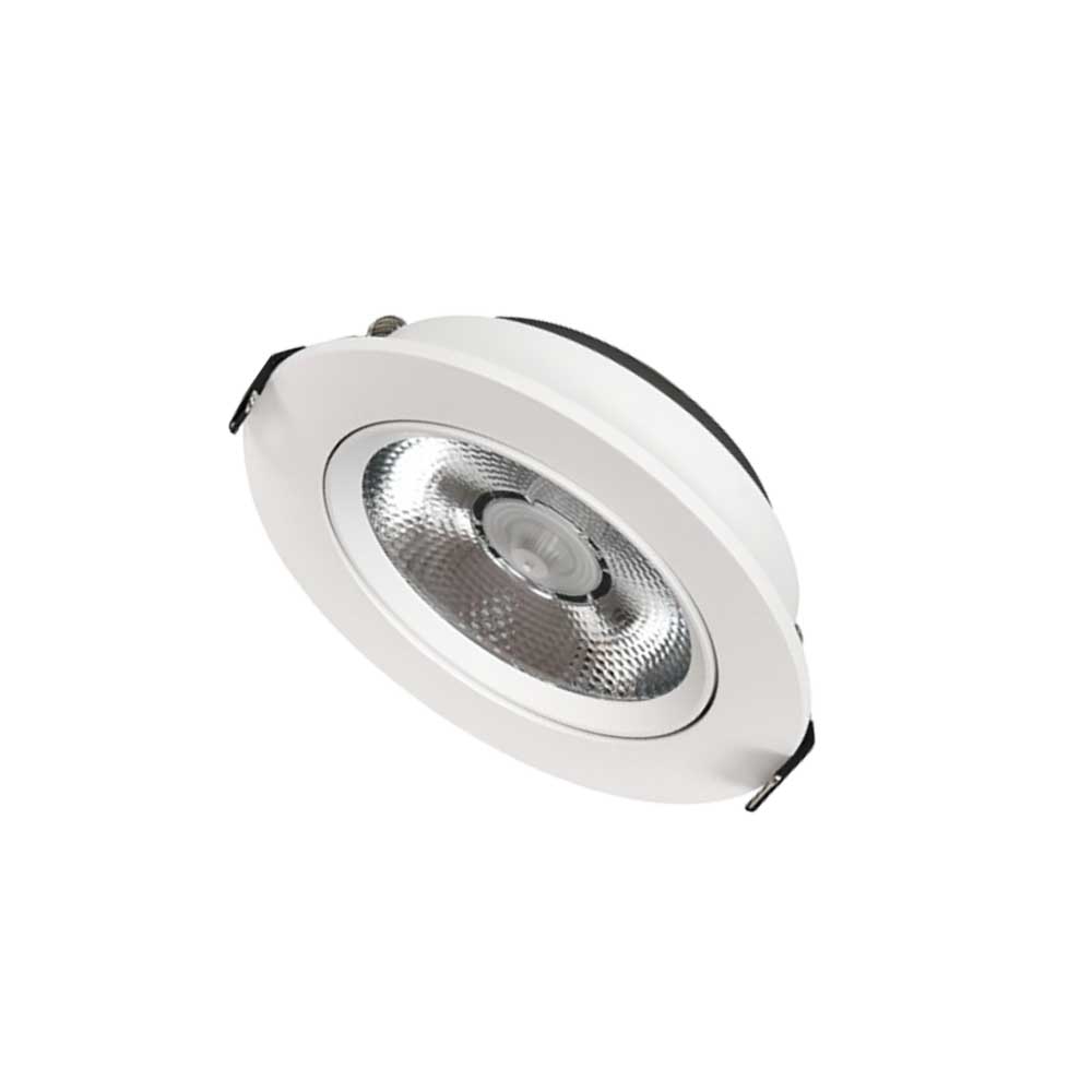 LED Down Light DS10