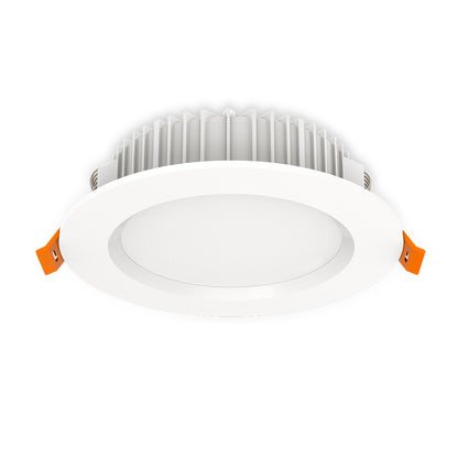 LED Down Light DF01