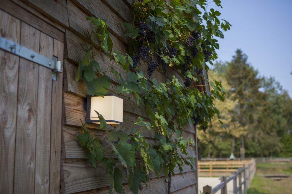 DOBLO-wall lamp-DWPRO