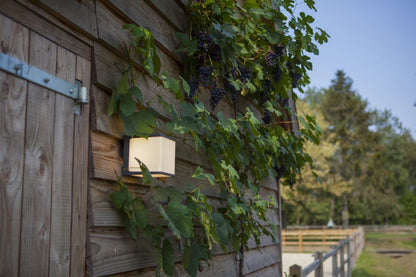DOBLO-wall lamp-DWPRO