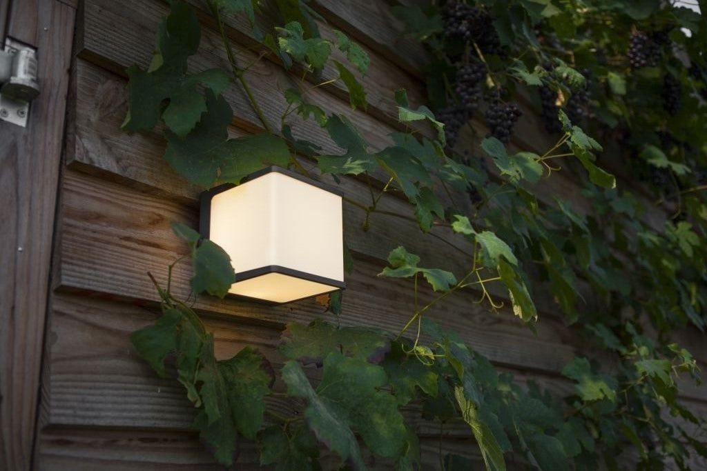 DOBLO-wall lamp-DWPRO