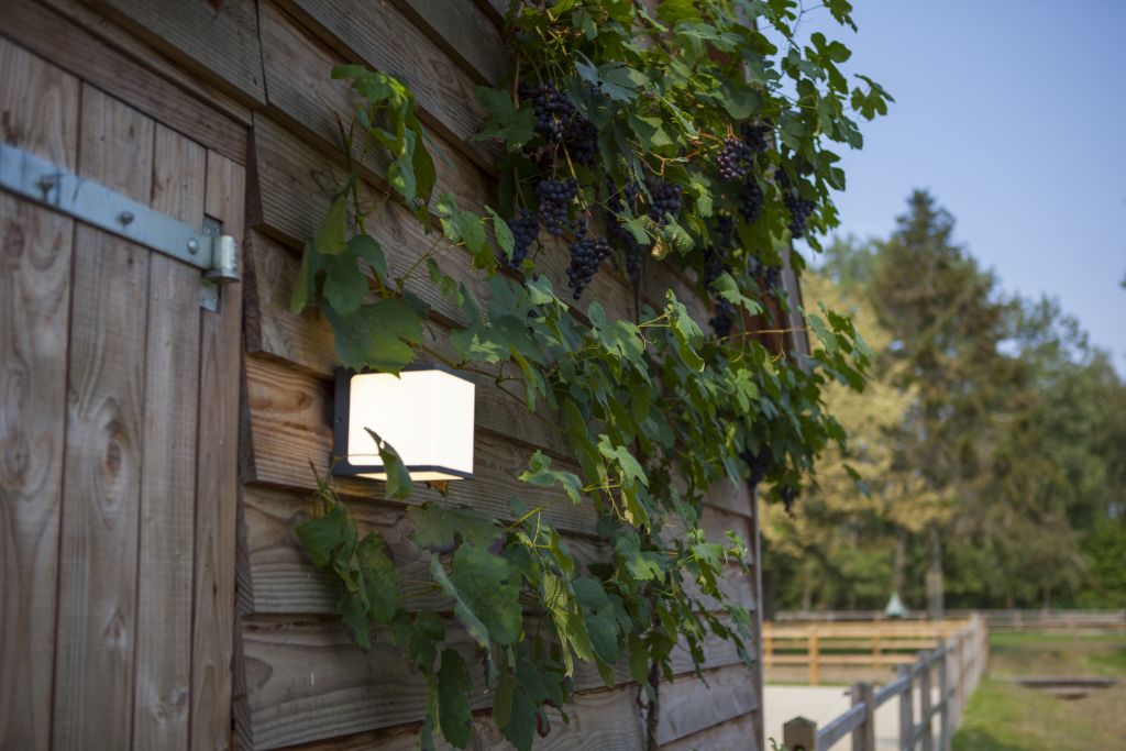 DOBLO-wall lamp-DWPRO
