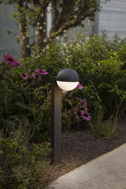 LOOMA-wall lamp-DWPRO