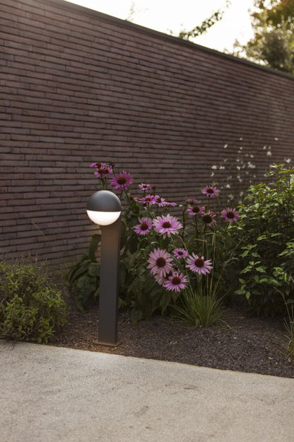 LOOMA-wall lamp-DWPRO